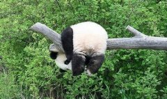 �����������ǹ���